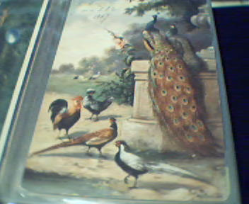 Easter Greetings Card with Peafowl Depicted!