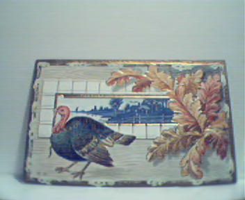 Turkey on Front of Color Thanksgiving Card