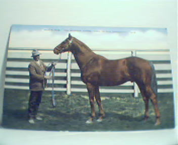 Man O War The Wonderhorse Bred in KY!Linen!