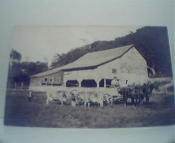 Cows,Barn and Wagon Pulled by Horses!PhotoR