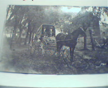 Couple in Two Seat Wagon Pulled By Horse!