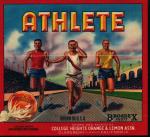 Athlete Poster from Sunkist Company!