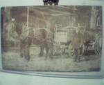 Photo Postcard of Horse Team Hitched to Wago