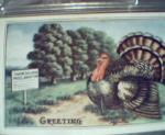 Thanksgiving Proclomation with Outdoor Scene