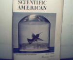 Scientific American-1/53 Radio Stars, Hummingbirds,More
