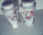 Flowers on Floral  Decorated Porcelain Shakers!