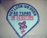 Hey Look Us Over- 65 years of Scouting!