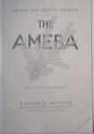 Among The Minute Animals The AMEBA by Stanley T. Brooks