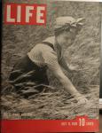 LIFE MAGAZINE JULY 11,1938 SHIRLEY TEMPLE COVER