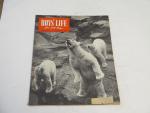 Boys' Life Magazine- 3/1949- Polar Bears at the Zoo