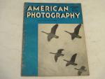 American Photography- 11/1946- Birds Flight North
