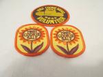 Girl Scout Patches 1981-82 Cookie Sale- Lot of 3