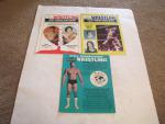Wrestling Programs from Madison Square Garden 1983