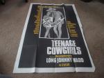 Teenage Cowgirls 1973 Original One Sheet Poster