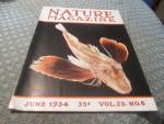 Nature Magazine 6/1934 Study of the Sea Robin Fish