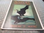 Nature Magazine 2/1934 Birds in Migratory Flight